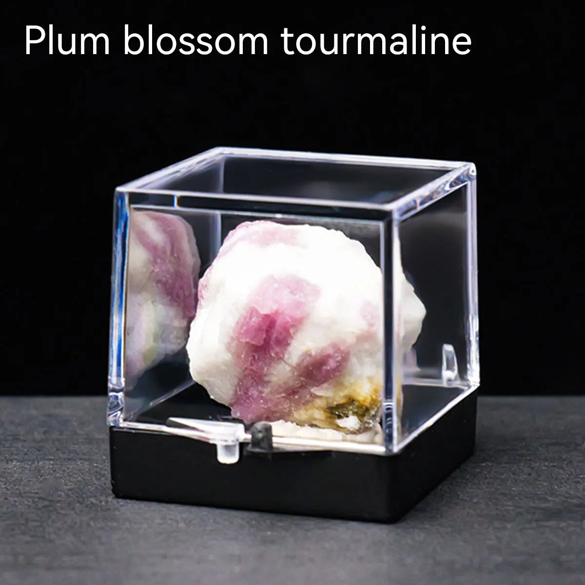 Eterna™ 4cm Natural Gemstone Display Set